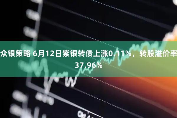 众银策略 6月12日紫银转债上涨0.11%，转股溢价率37.96%