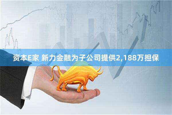资本E家 新力金融为子公司提供2,188万担保