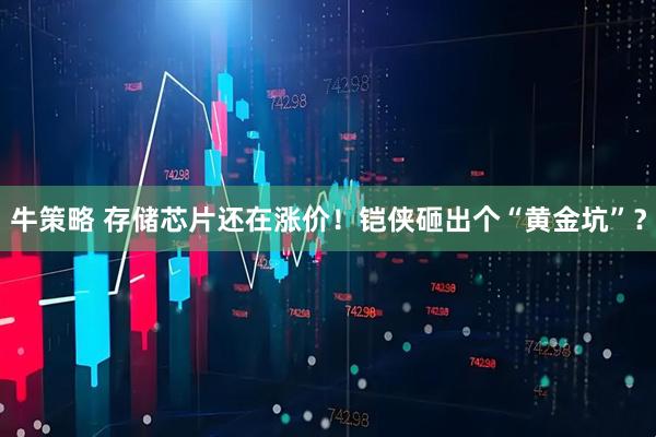 牛策略 存储芯片还在涨价！铠侠砸出个“黄金坑”？