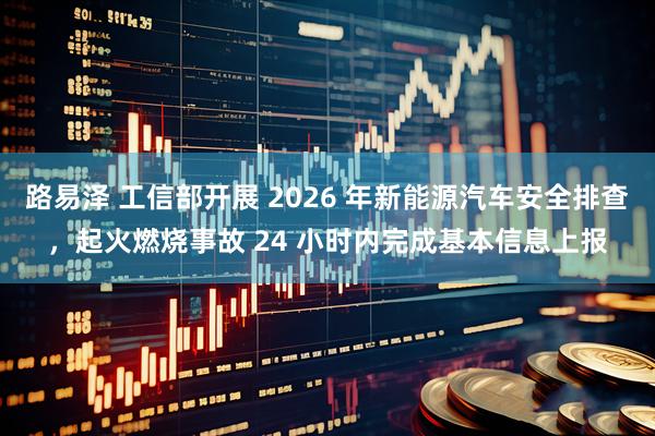 路易泽 工信部开展 2026 年新能源汽车安全排查，起火燃烧事故 24 小时内完成基本信息上报